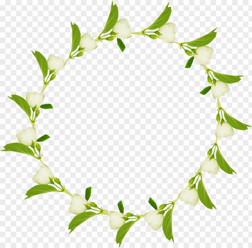 Branch Leaf Twig PNG