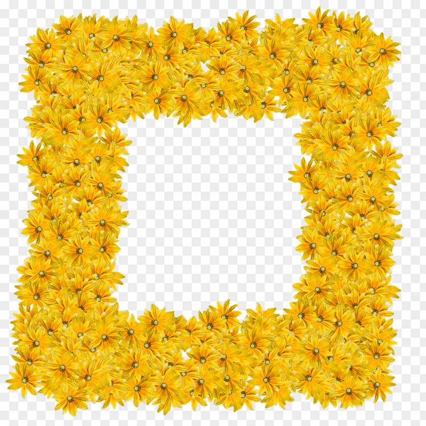 Daffodil Film Frame Flower Wreath PNG