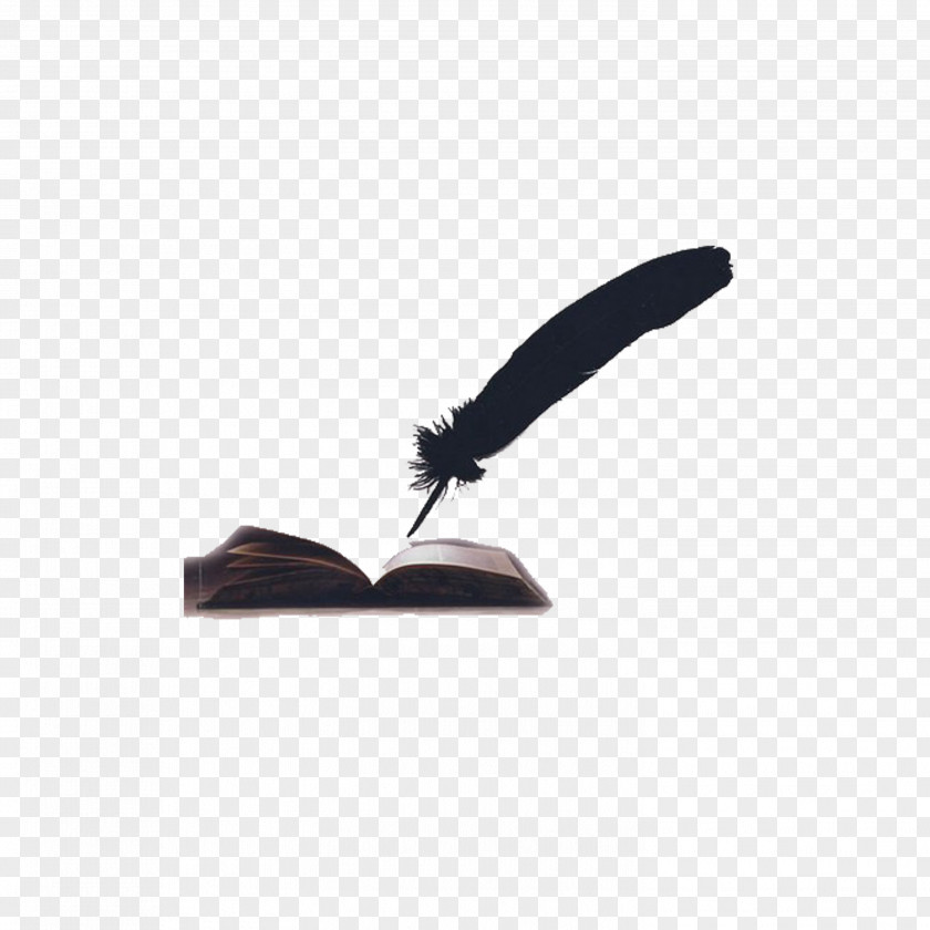 Feather Books Paper Book PNG