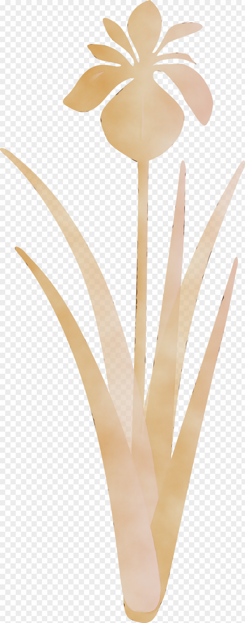 Floral Design PNG