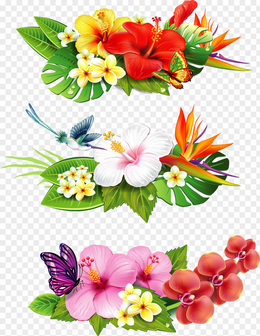 Flower Tropical Drawing Royalty-free Clip Art PNG