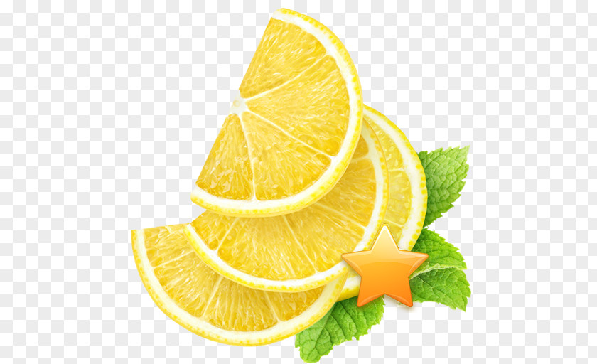 Lemon Lemon-lime Drink Slice Fruit PNG