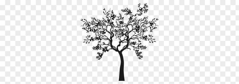 Olive Branch Tree Drawing PNG