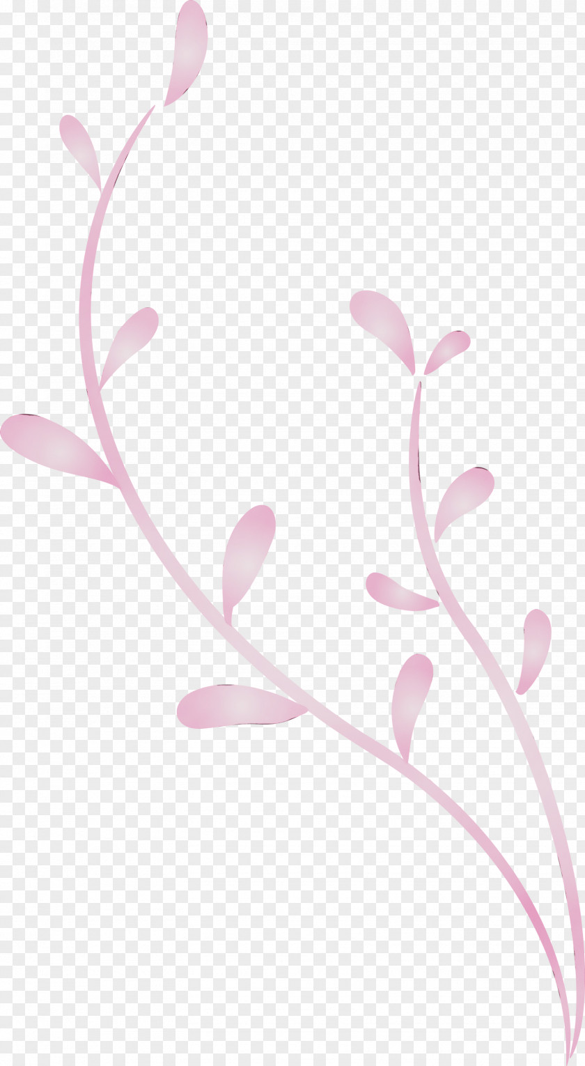 Pink Pedicel Branch Leaf Plant PNG