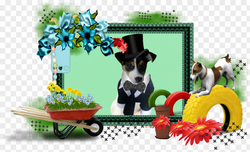 Puppy Picture Frames Idea Pine PNG