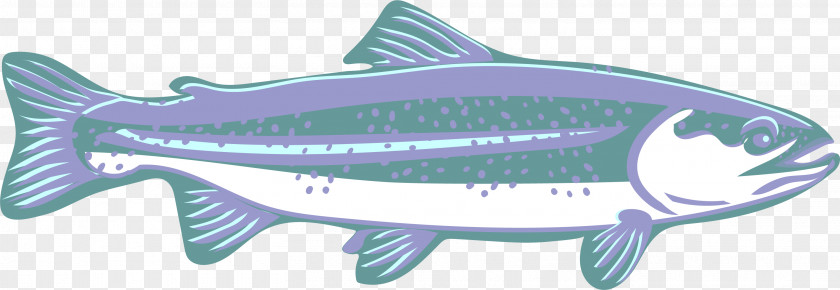 Bonyfish Osmeriformes Fish Fin Products Cod PNG