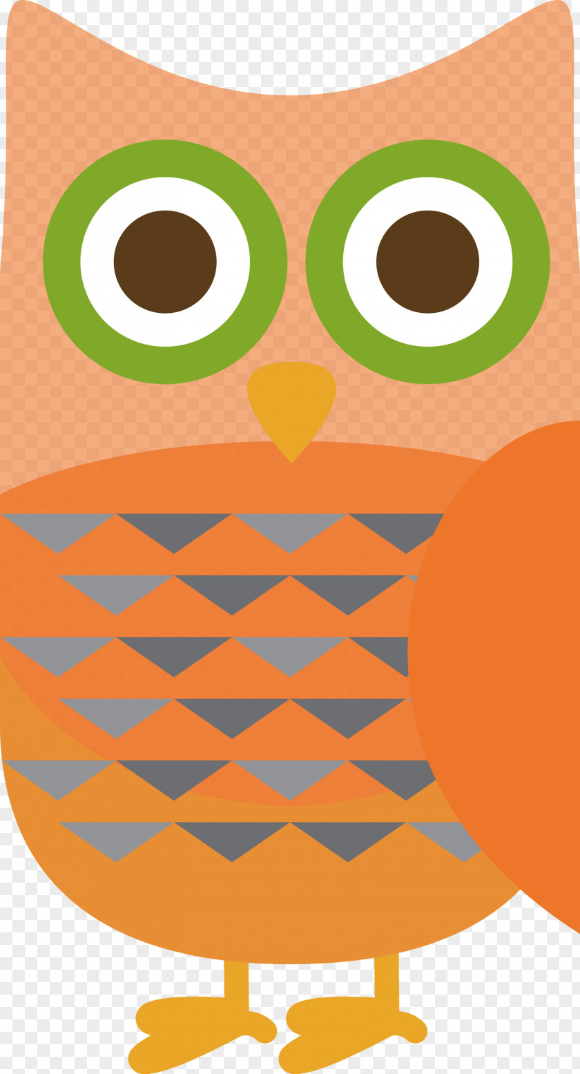 Cartoon Owl M Meter Beak Line PNG