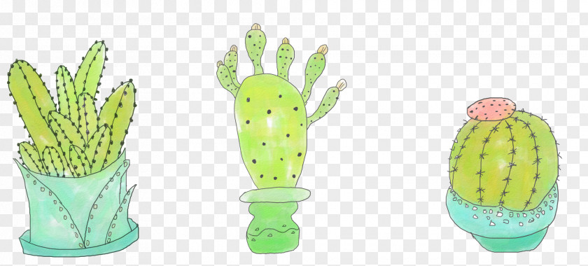 Hand Painted Cactus Small Fresh Plants Cactaceae Y Suculentas Drawing Succulent Plant PNG