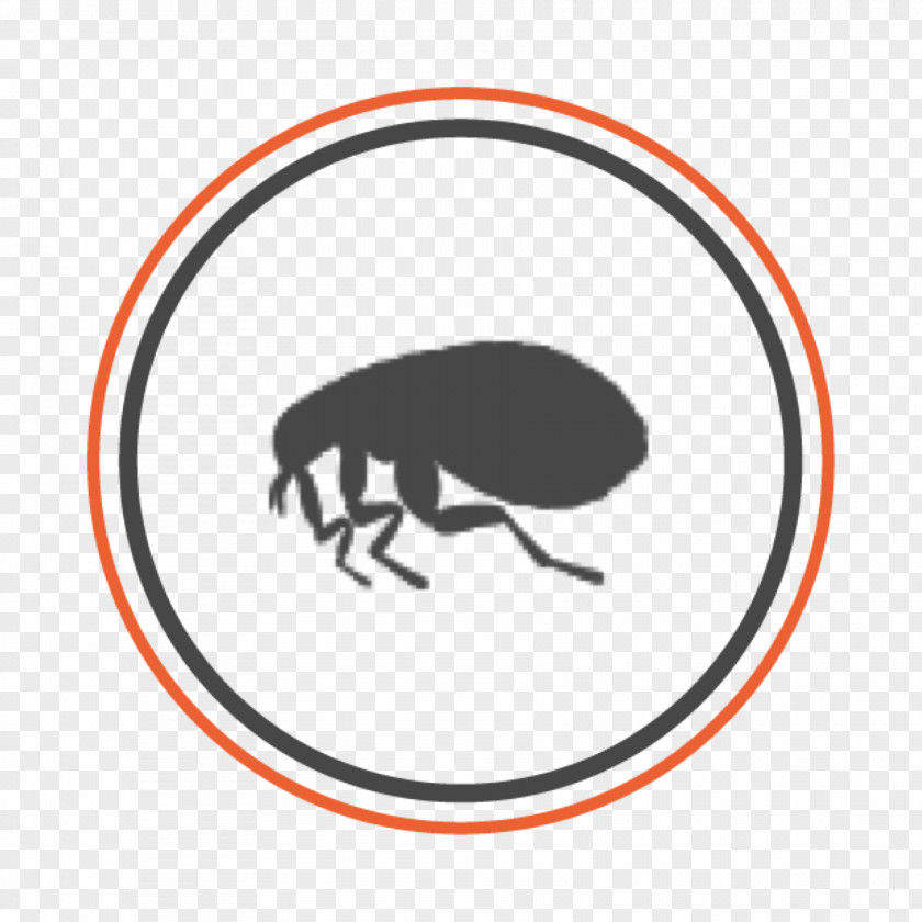 OxiSix Pest Control Wasaga Beach Barrie Meaford PNG