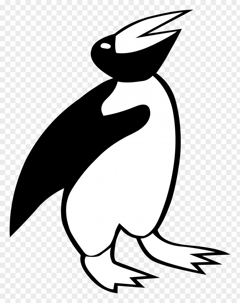Penguins Koala Silhouette Drawing Clip Art PNG