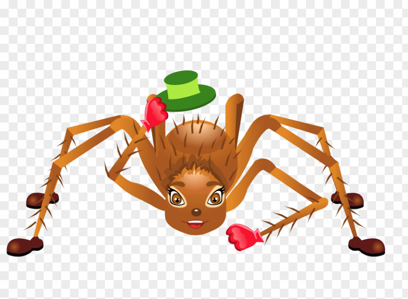 Spider Vector Material Insect Cartoon Drawing Clip Art PNG