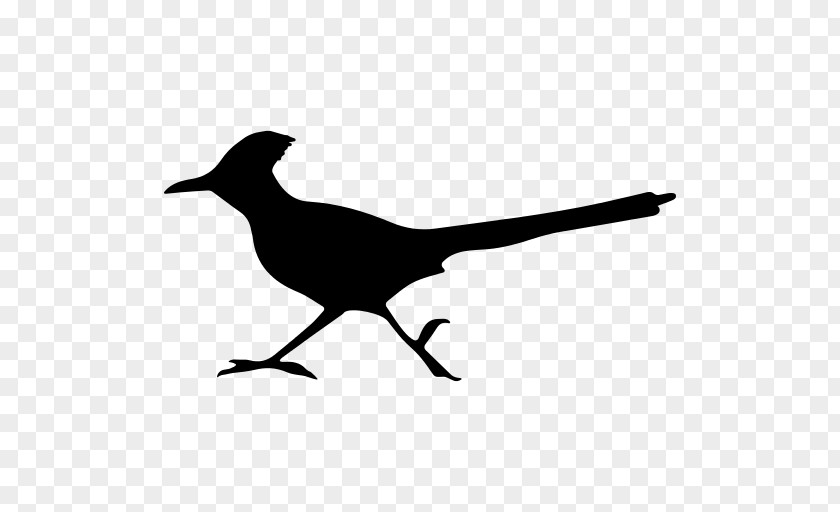 Wing Silhouette Roadrunner Cartoon PNG