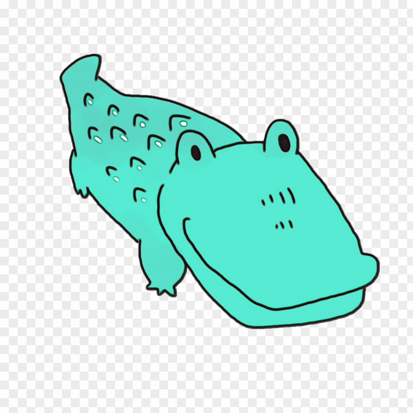 Amphibians Green Shoe Area Line PNG