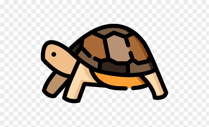 Bird Iryohojinaishinkaishimabara Maternity Hospital Tortoise Clip Art PNG