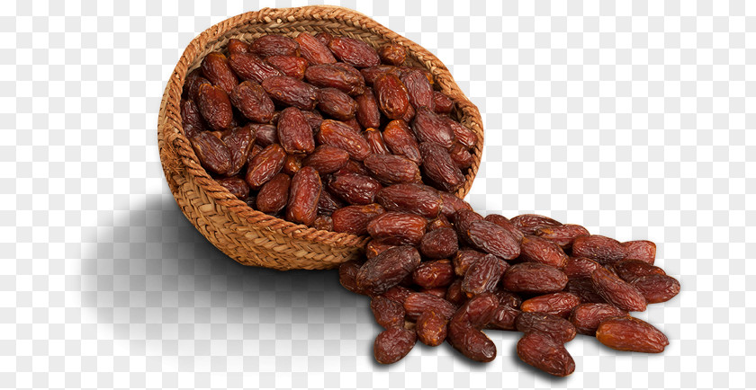 Dates Fruit Quran: 2012 Islam Hadith Allah Date Palm PNG