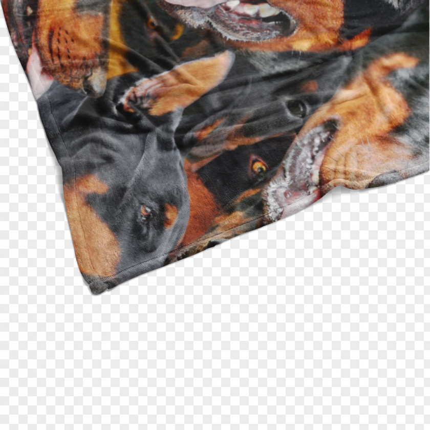 Dog Product Orange S.A. PNG