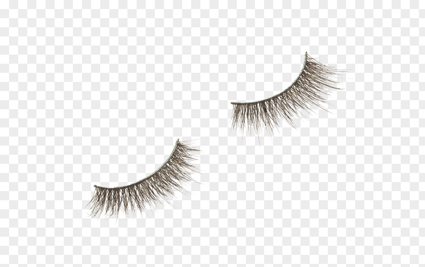 Eyelashes Eyelash Extensions Benefit Cosmetics Primer PNG