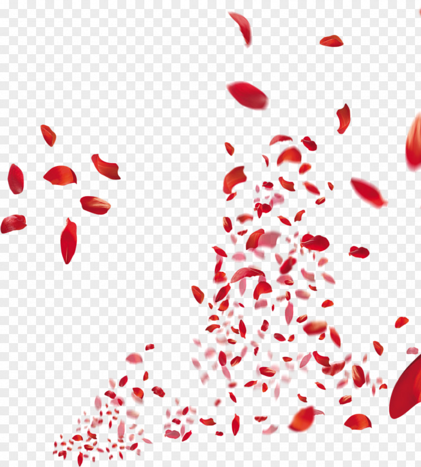 Romantic Red Petals Falling Adobe Illustrator CorelDRAW PNG