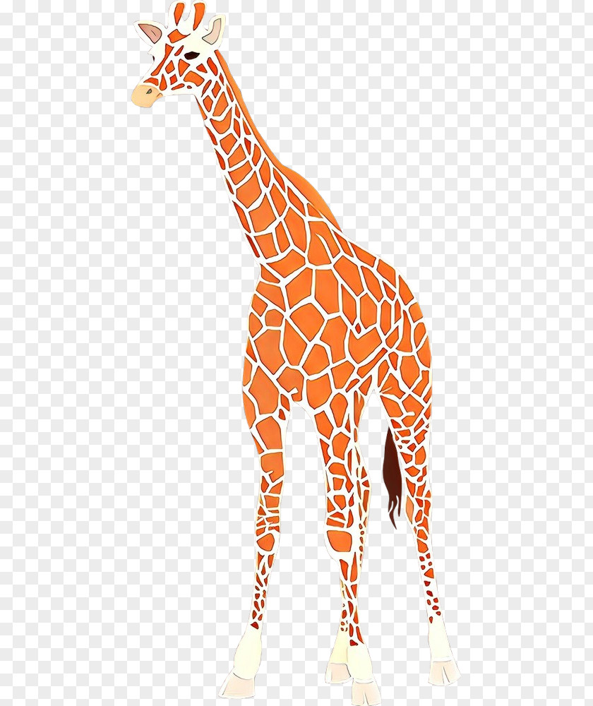 Clip Art Baby Giraffes Vector Graphics Drawing PNG