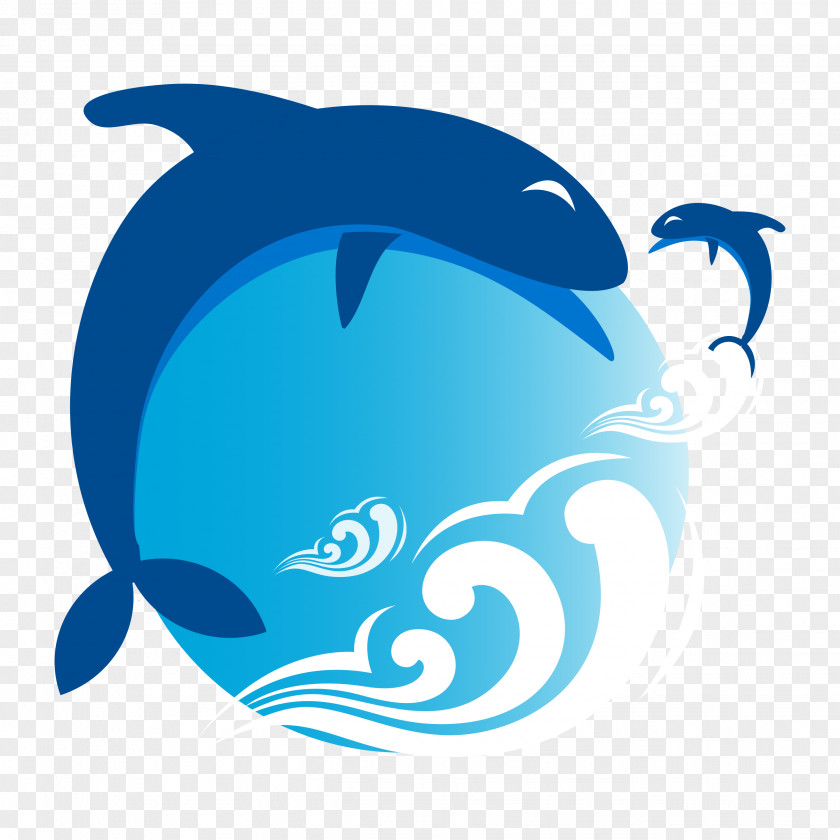 Diagram Logo Design Photography Mexico City Dolphin PNG
