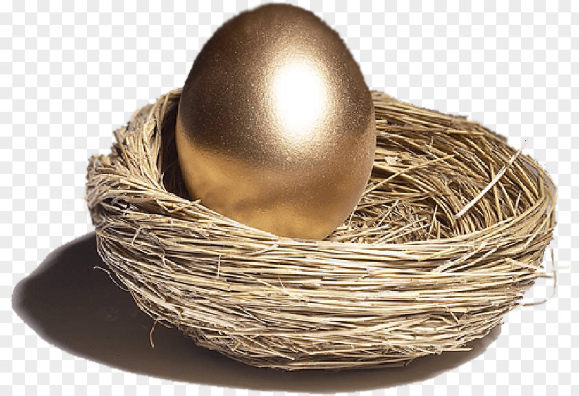 Golden Egg Ethics Surrogacy Clip Art PNG