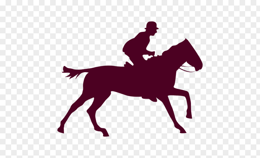 Horse Riding Equestrian Gallop PNG