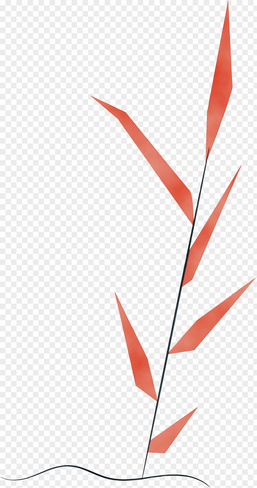 Leaf Angle Line M-tree Meter PNG