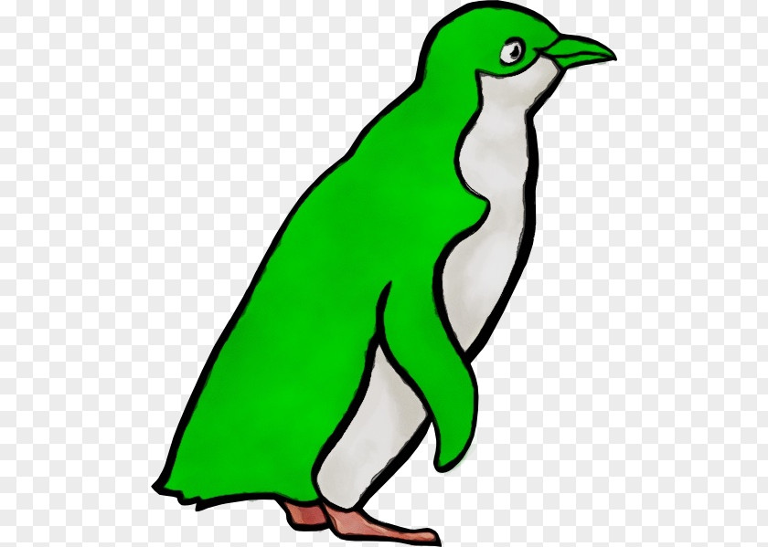 Line Art Wildlife Bird PNG