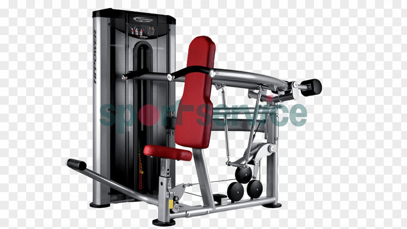 Overhead Press Strength Training Fitness Centre Biceps Curl Chin-up PNG