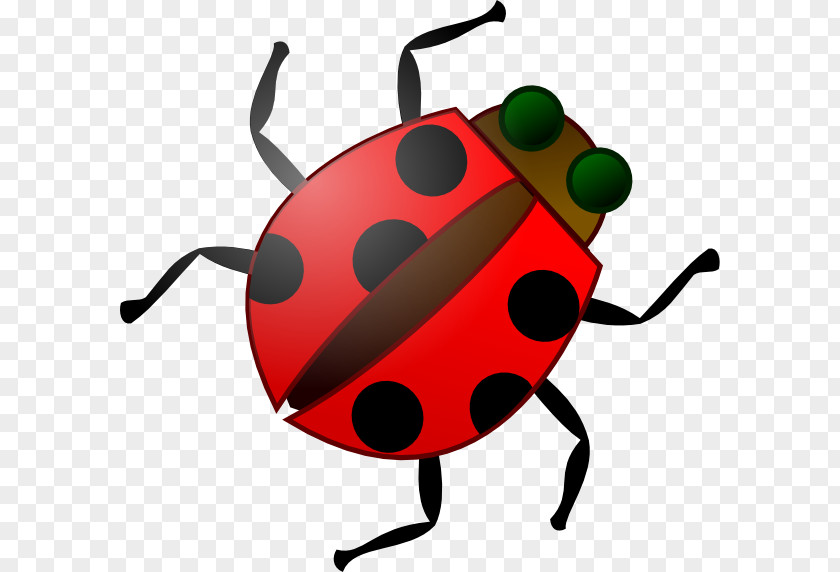 Beetle Cliparts Insect Software Bug Free Content Clip Art PNG