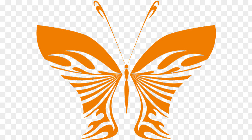 Butterfly Clip Art PNG