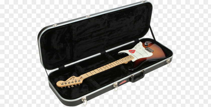 Electric Guitar Gig Bag Bass Musical Instruments PNG