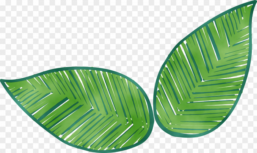 Green Banana PNG