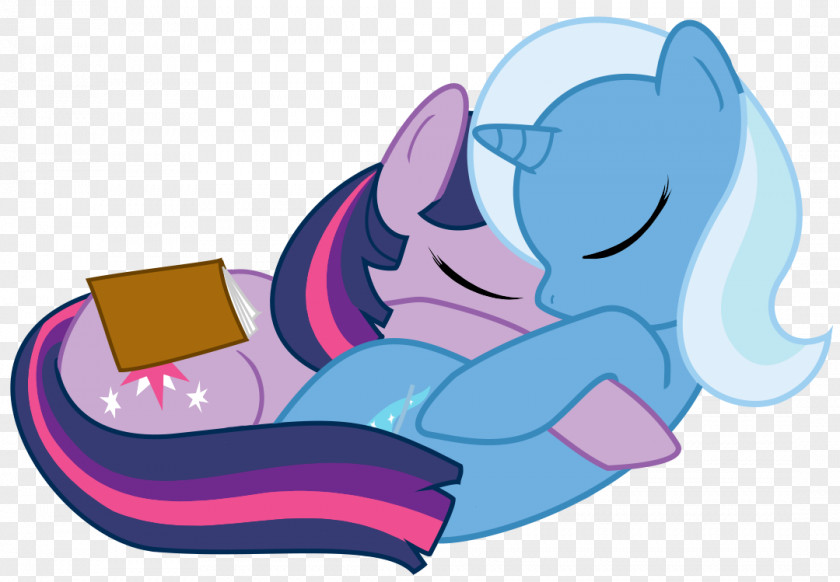 Pony Twilight Sparkle Fluttershy Rarity Rainbow Dash PNG