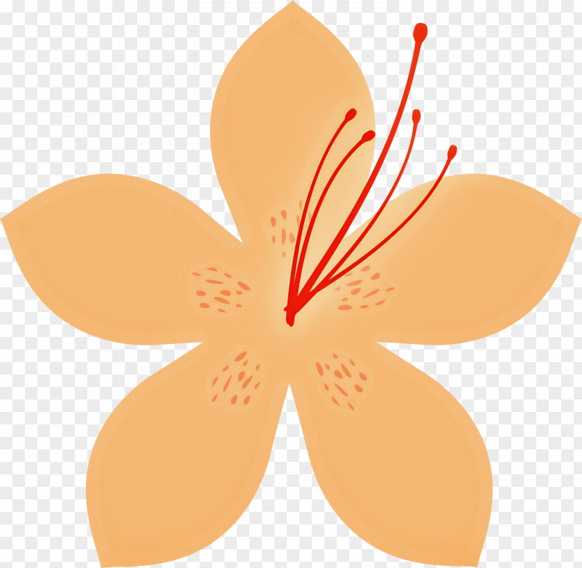 Azalea Spring Flower PNG