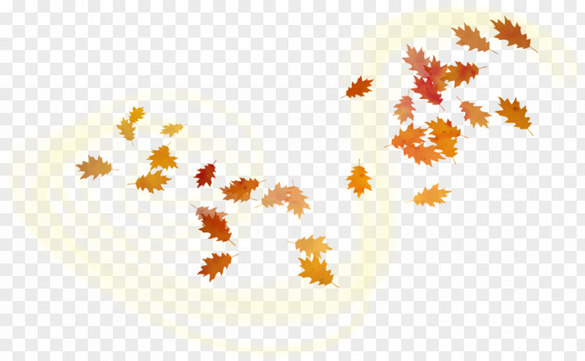 Leaf Maple Adobe Photoshop Autumn PNG