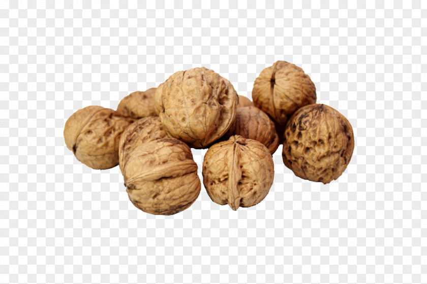 Nuts Walnut Photos Nutcracker PNG