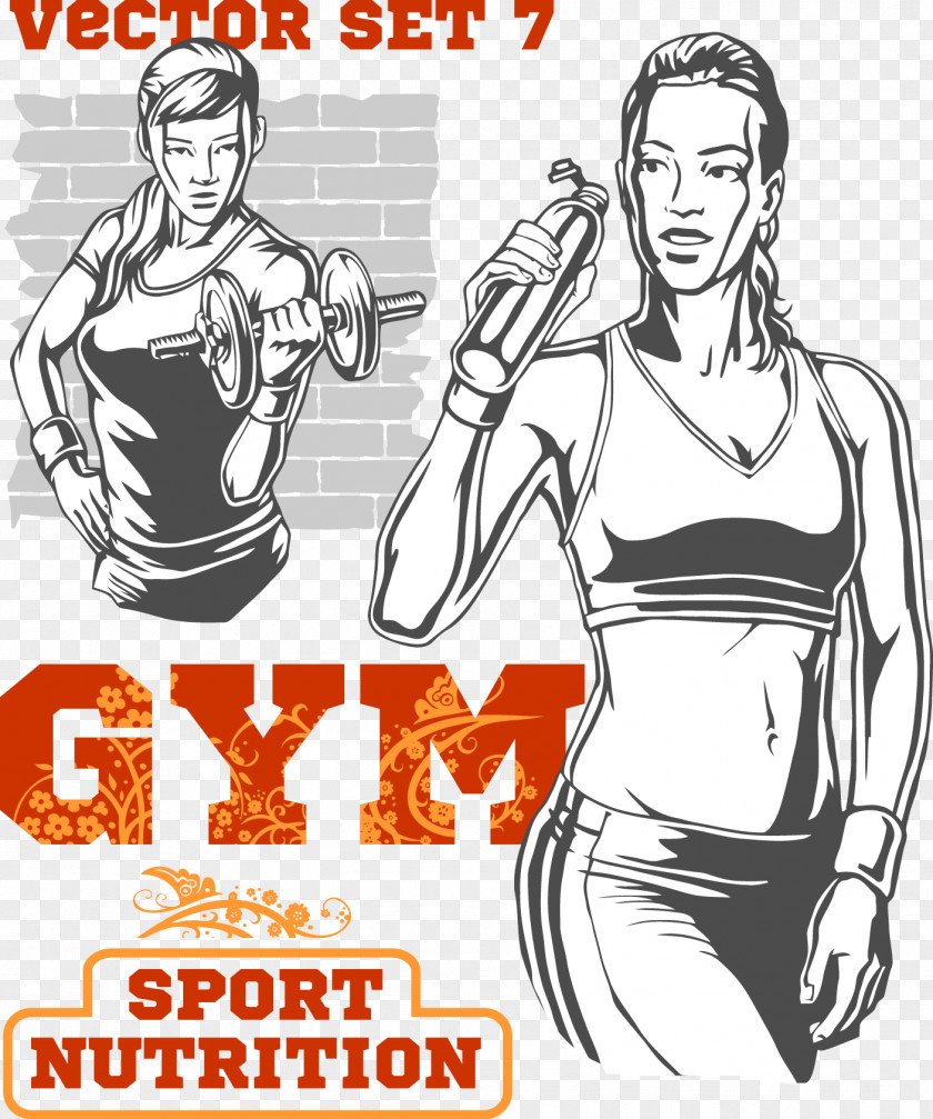 Vector Workout PNG