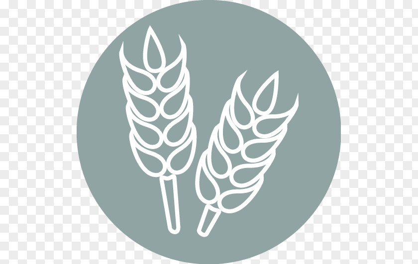 Wheat Pattern Agriculture Food Processing Technology PNG
