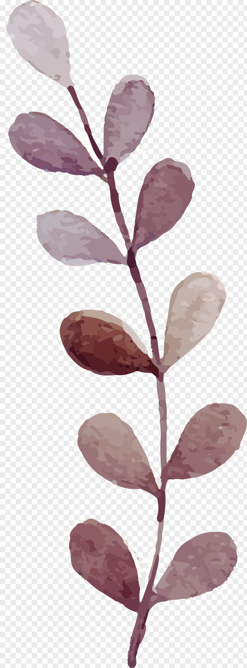 A Coffee Colored Watercolour Plant Watercolor: Flowers Watercolor Painting PNG