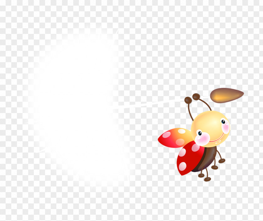 Beetle Ladybird Desktop Wallpaper Drawing Clip Art PNG