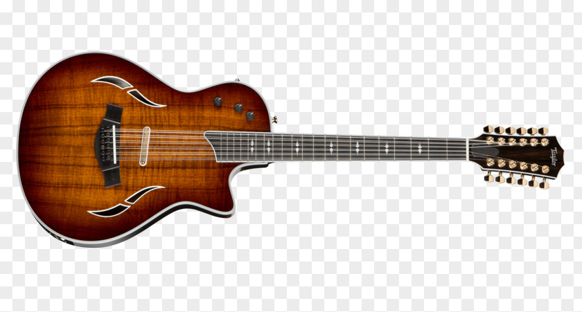 Multi Style Acoustic Guitar Electric Godin Bass PNG