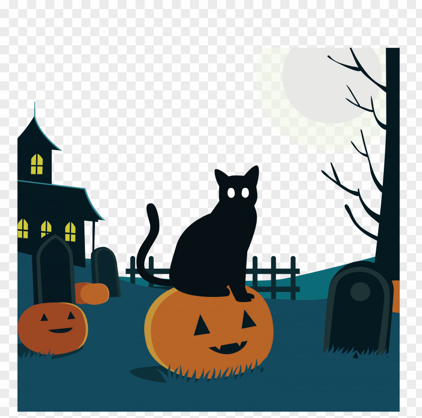 The Black Cat In Graveyard PNG