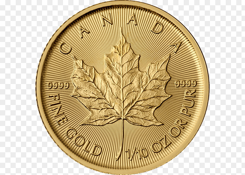 Canada Canadian Gold Maple Leaf Bullion Coin PNG