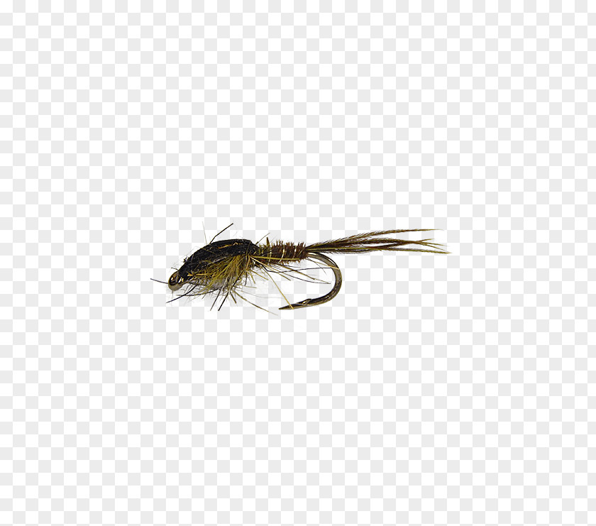 Fly Tying Insect Artificial PNG