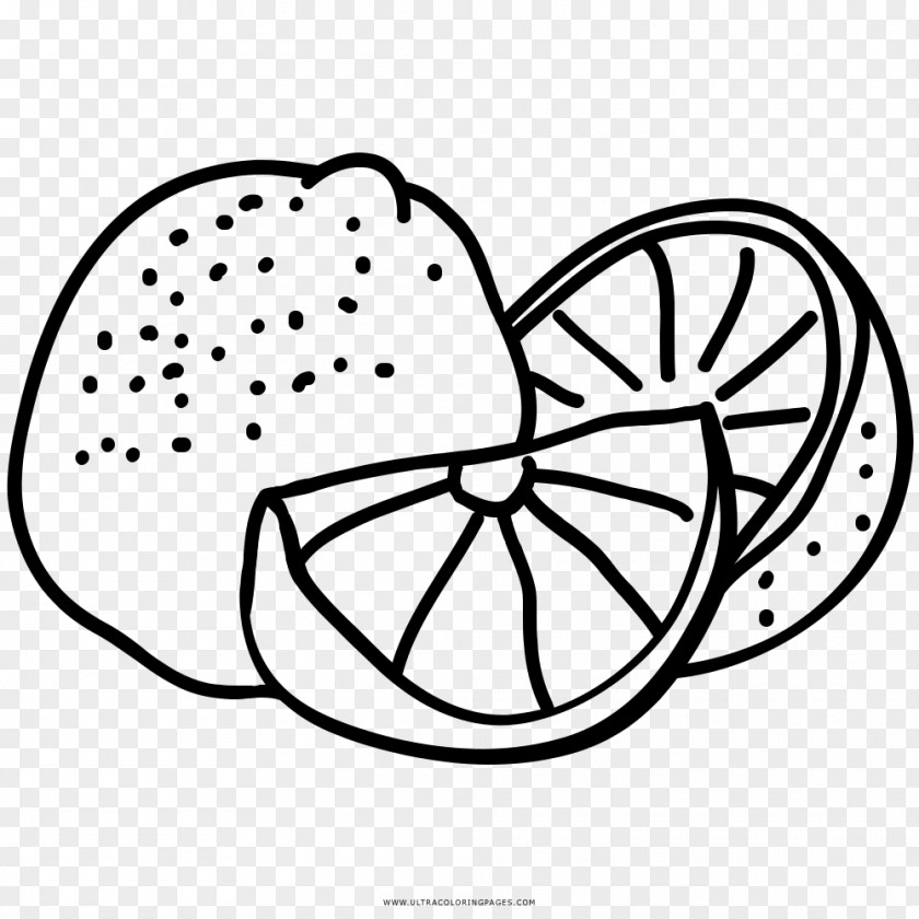 Lemon Drawing Coloring Book Black And White PNG