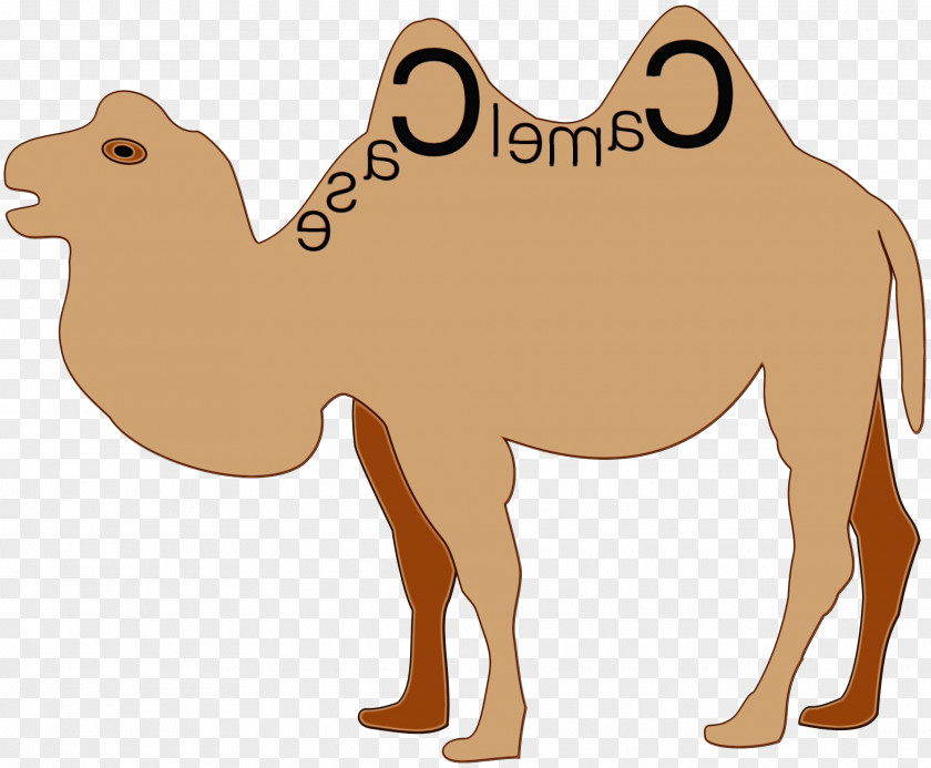 Livestock Fawn Dog Cartoon PNG