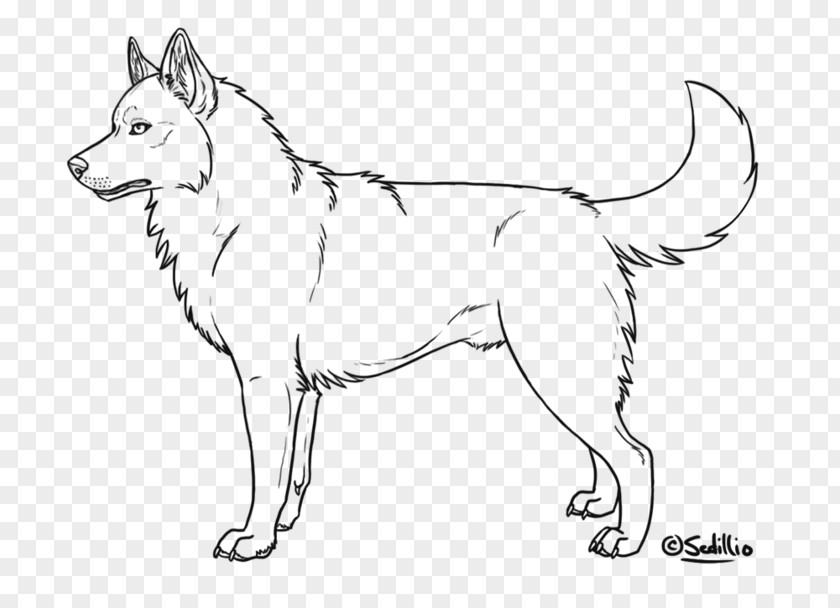 Puppy Siberian Husky Alaskan Coloring Book PNG