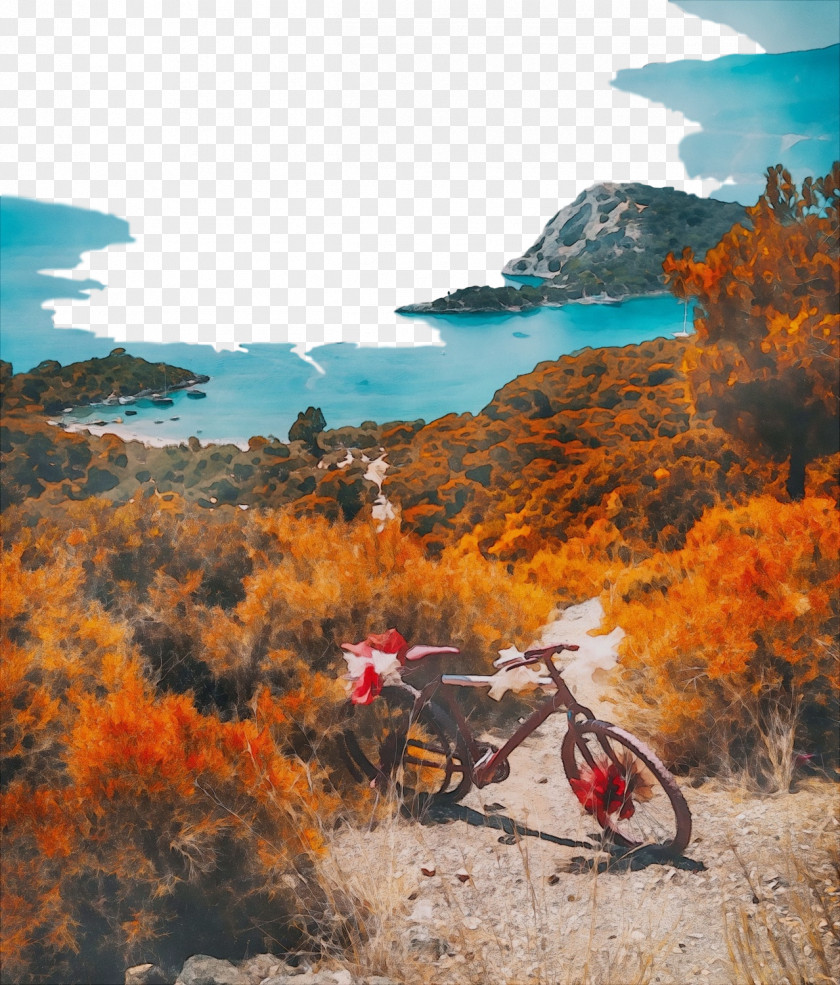 Recreation Cycle Sport Cartoon Nature Background PNG