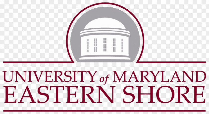 University Of Maryland Eastern Shore Hawks Women's Basketball Men's Logo PNG